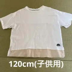 BREEZE Tシャツ ホワイト/ベージュ