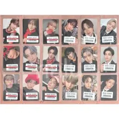 &TEAM andteam 月狼 ユニバ サイン会 特典 トレカ コンプ セット
