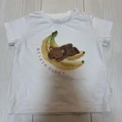 ジェラートピケ ティシャツ70サイズ