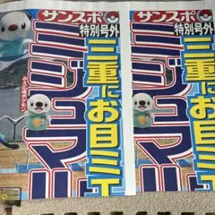 ミジュマル　号外　サンスポ　特別号外　ミジュマル公園　2枚