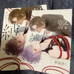 「繋縛」リーフレット