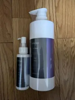 Item thumbnail for item 6b49d8da-48ea-4f59-92ab-d7a64c6c949c