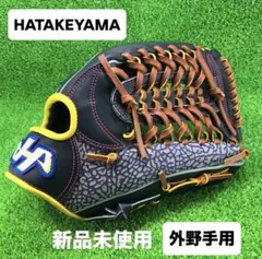 2025年最新】HATAKEYAMA ハタケヤマ 硬式外野グローブの人気