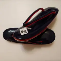 Item thumbnail for item fb613183-5f0a-4577-89f2-86056d6b9822