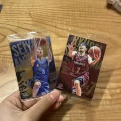 Item thumbnail for item 52c51c30-89c0-4cc2-ba09-a3b872a62f25