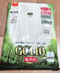 Item thumbnail for item 51a8fd65-e725-4177-8aa6-73fa32b5710d