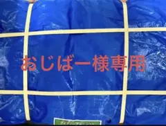 ブルーシート