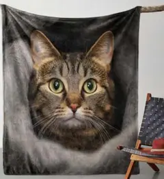 キジトラ　猫柄　プリント　膝掛け　ブランケット　毛布　猫　ネコ　ねこ　猫の画像