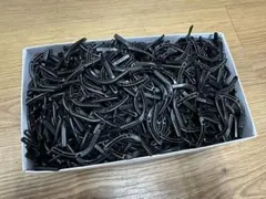 未使用　tomato glasses 先セル 黒　業者歓迎