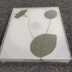 今井美樹 ベストアルバム CD 2枚組 IMAI,MIKI from 1986