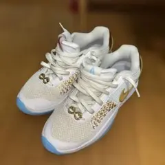 Item thumbnail for item 16bb91a2-dbd3-4841-8e73-d884a5907364