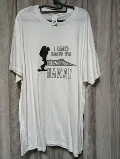 ダイヤモンドヘッド ハワイ Tシャツ