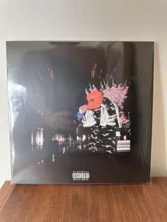 Item thumbnail for item 5fdeb040-8119-45b7-ac08-74ec86126d84