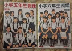 Item thumbnail for item 9ab8ab76-1937-469e-847a-36fa15a82279