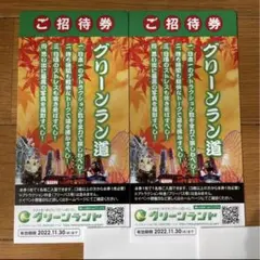 グリーンランド入場券