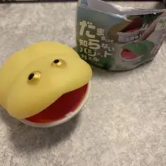 だまることを知らないバジェットガエル