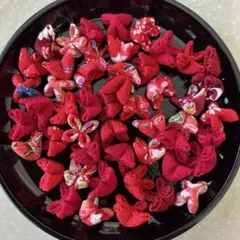 くくり花　915