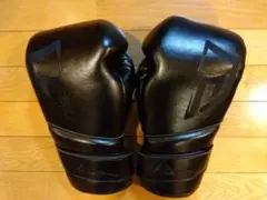 GRIT グリット ボクシンググローブ 14オンス