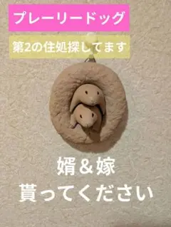 プレーリードッグの壁掛け