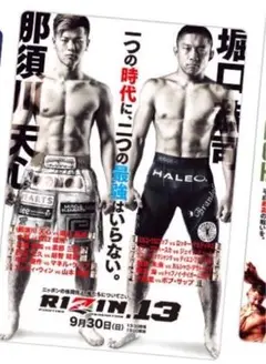 RIZIN ポテトスティック　ポスター　カード　コレクション