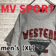 F1935【MV SPORT】コットン半袖Tシャツ【XL】グレー