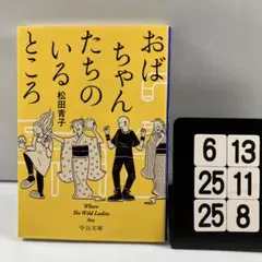 おばちゃんたちのいるところ Where T 6-13*25.25*8