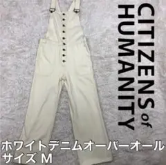 Item thumbnail for item 3d3d7a55-0634-4472-b5c3-3d30df0646ba