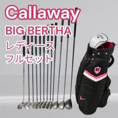 【豪華フルセット】Callaway Bigbertha レディース