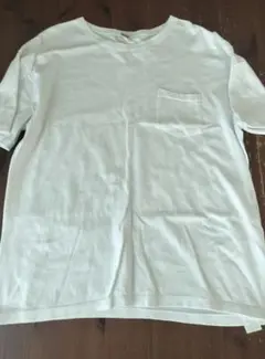 Screen Stars ホワイト Tシャツ L