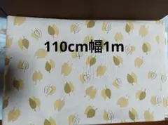 Item thumbnail for item 3ea79b8c-b03a-4be6-a78a-f09b5be2c778