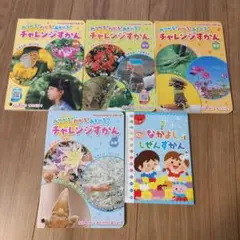 ミニずかん 5冊セット