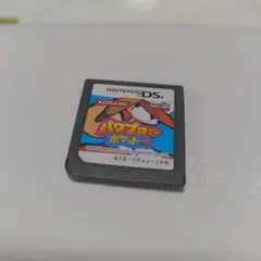 パワプロクンポケット10 DS