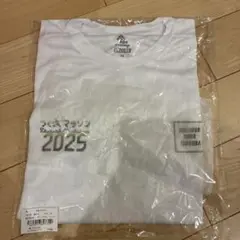 Item thumbnail for item 71f20051-a97d-4e13-857a-6934cc815e8d