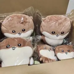 ナガノのカワウソ ぬいぐるみくじ C賞・D賞