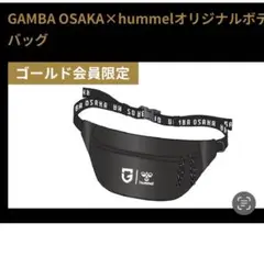 新品未開封　GAMBA OSAKA × hummel ボディバッグタオルセット