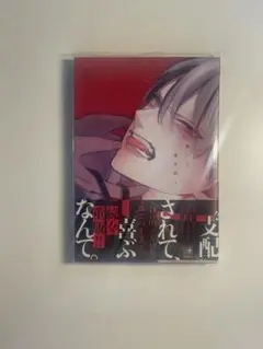 跪いて愛を問う