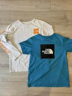 Item thumbnail for item 113c49a8-a3f3-42a5-bc49-577d4d14d423