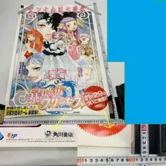 当時物 非売品 2002年 角川書店 PS2ソフト 暴れん坊プリンセス ポスター
