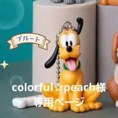 専用ページ