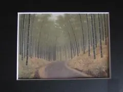 2025年最新】小泉智英の人気アイテム - メルカリ