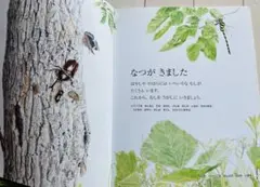 むしをさがそう　フレーベル館　キンダーブック　しぜん 8