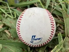 NPB公式球 ファーム公式試合使用球 戸田球場でのヤクルト× DeNA戦