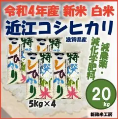 新米 近江 コシヒカリ 20kg 白米 20キロ 数量・期間限定 SK2