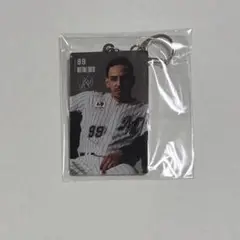 千葉ロッテマリーンズ　ネフタリ・ソト　オンラインくじ　アクキー