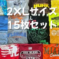 早い者勝ち！　アメリカ卸　Tシャツ　15着　まとめ売り　メンズ　XXLサイズ