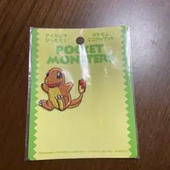 ヒトカゲアップリケ