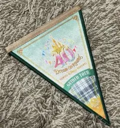 ディズニー40周年　ガイドツアー限定ガーランド　４枚セット ディズニー40周年 ガイドツアー限定ガーランド 4枚セット