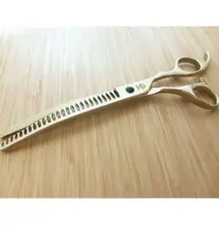 Item thumbnail for item c3d2f46e-55e3-4eef-baf0-a6432e9ed94d