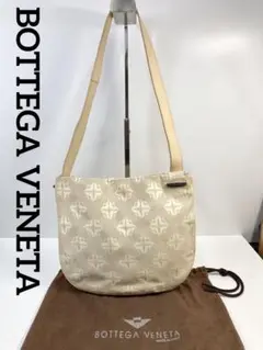 ボッテガべネタ ショルダーバッグ 保存袋 BOTTEGA VENETA 肩掛け