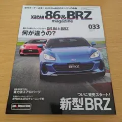 Item thumbnail for item 2877eb46-c97f-46f2-8488-c4771060ddc6